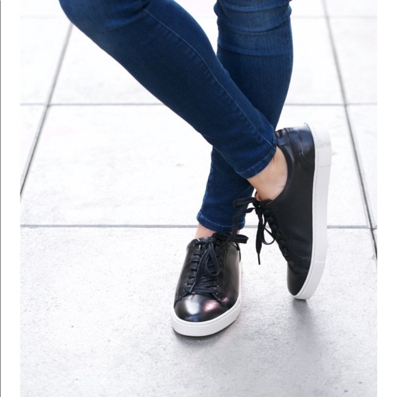 ivy sneaker frye